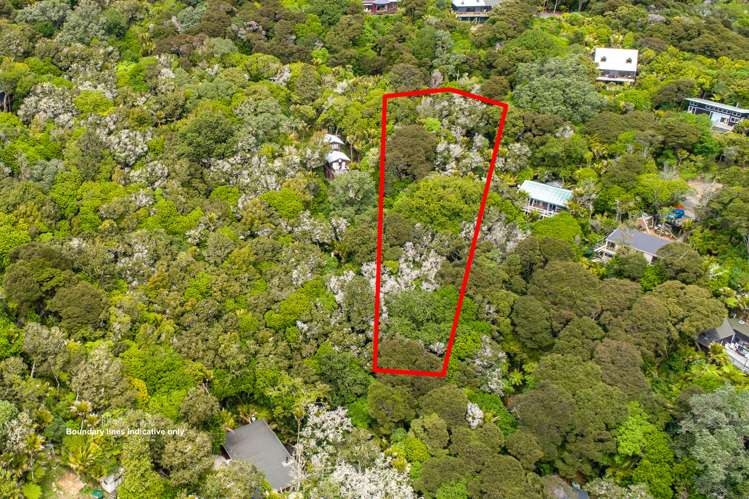 61 Trig Hill Road Onetangi_12