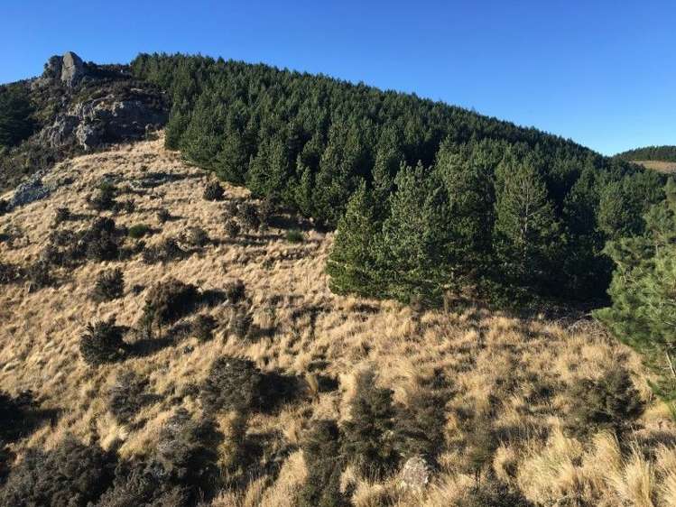 581a Mcqueens Valley Road Gebbies Valley_8