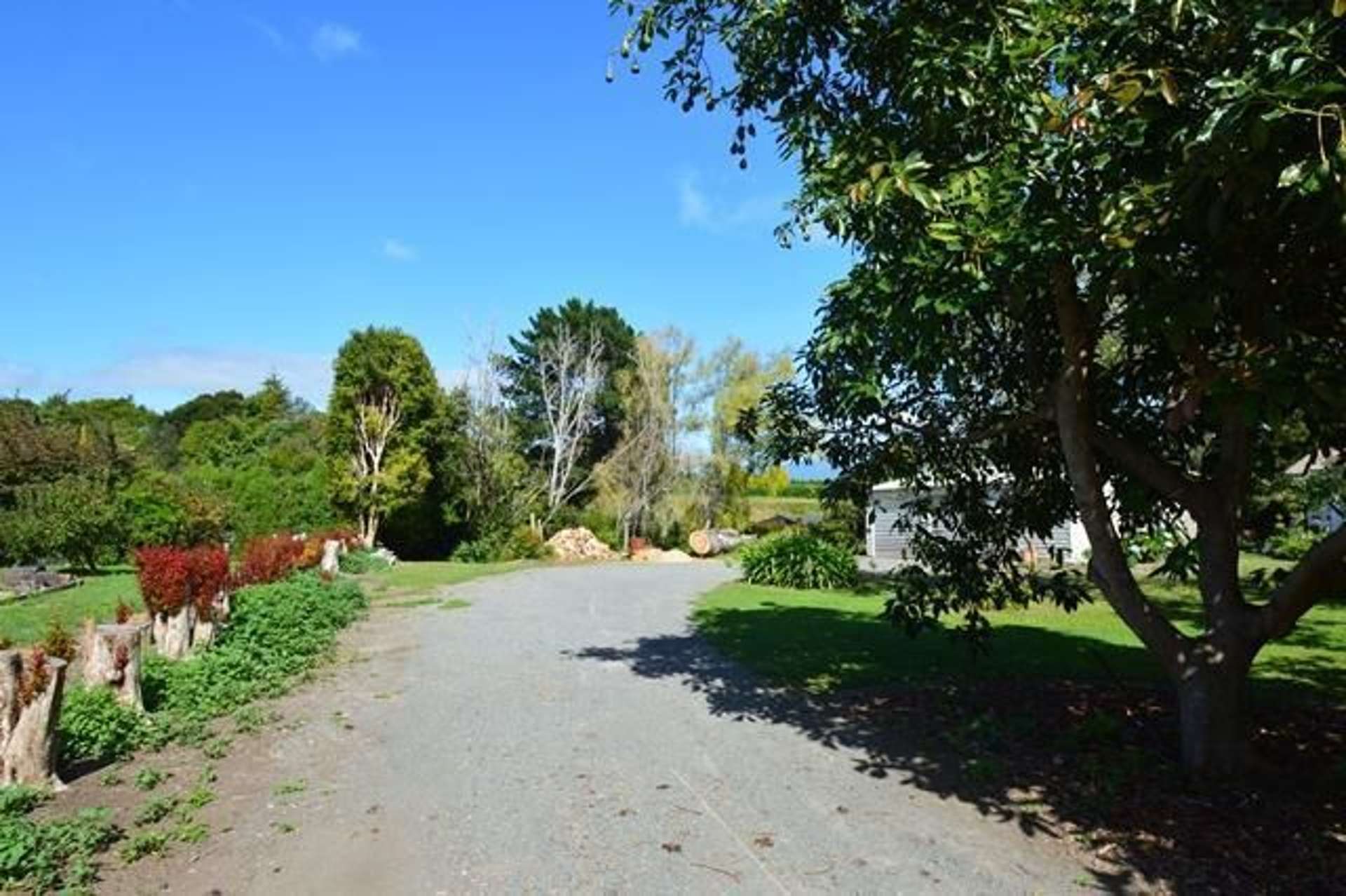 11 Western Avenue Omokoroa_0