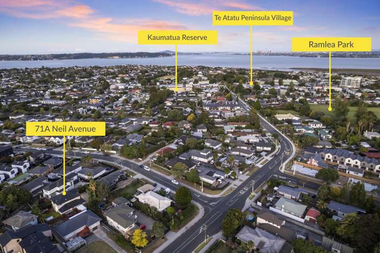 71a Neil Avenue Te Atatu Peninsula_24