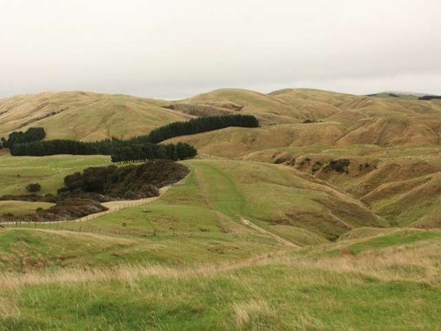 912 Range Road Pongaroa_1