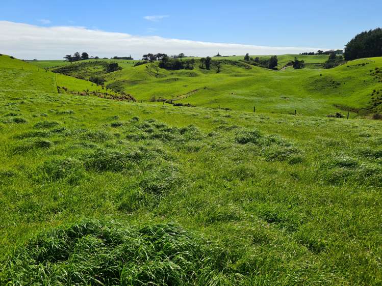 629 South Road Omata_13