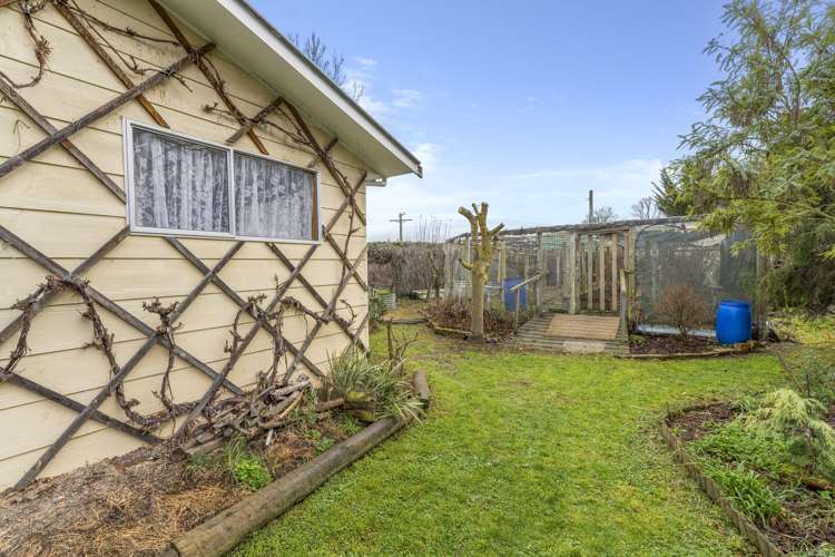 20 Montgomery Street Cheviot_11