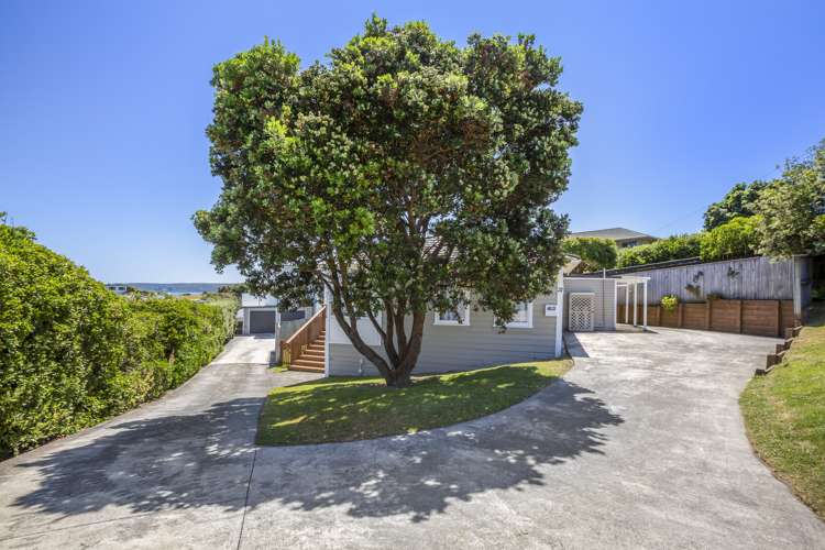 21 Richard Street Titahi Bay_16