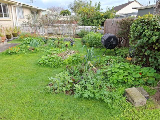 2/659 Mahoe Street Te Awamutu_4