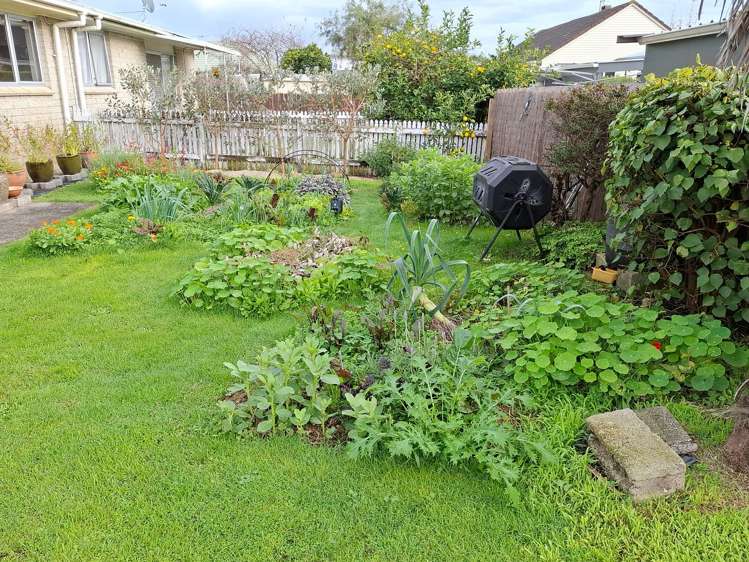 2/659 Mahoe Street Te Awamutu_4