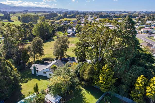 80 Cole Street Dannevirke_2