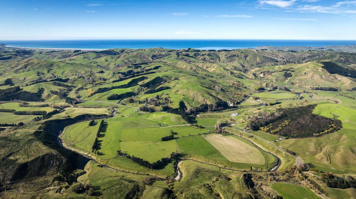 3503 Porangahau Road_3