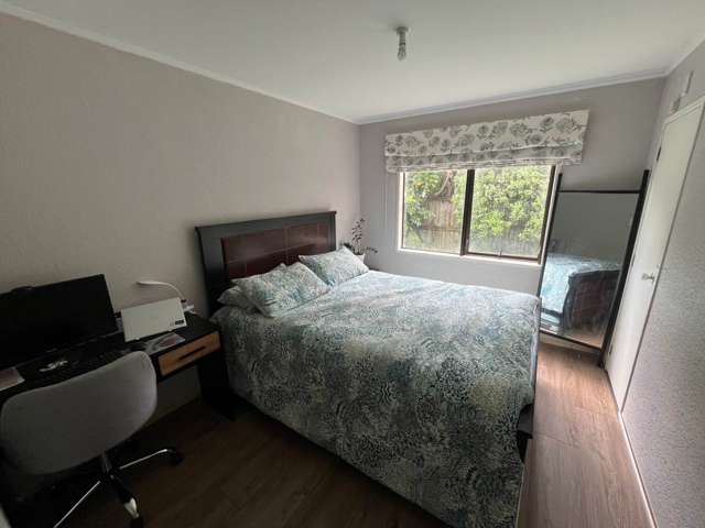 28A Puriri Avenue Greenlane_4