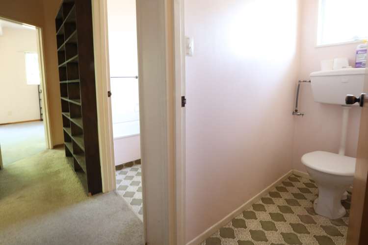 40 Alma Street Renwick_10