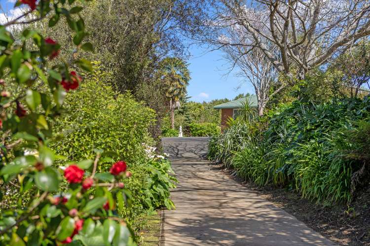 23 Seales Road Morrinsville_27