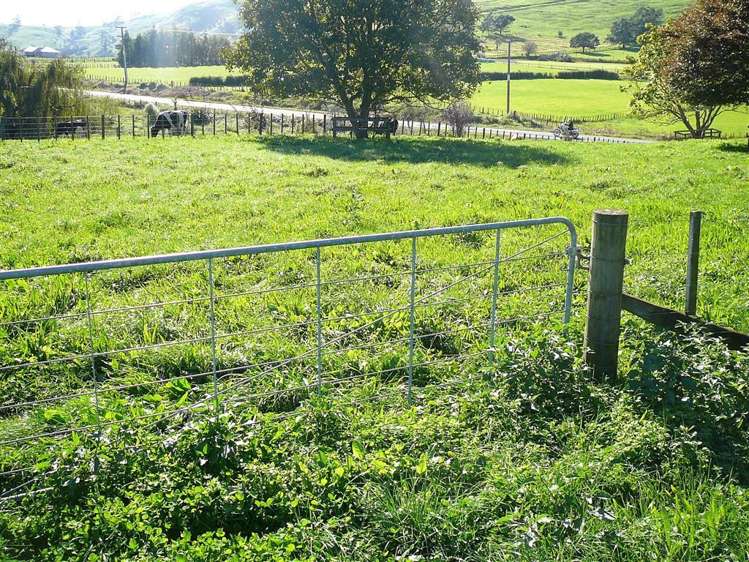 7447 State Highway 26 Paeroa_42