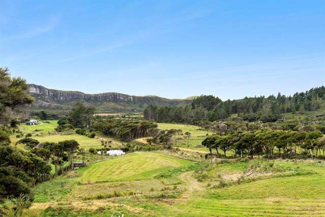 39 McGowan Street Puponga_4