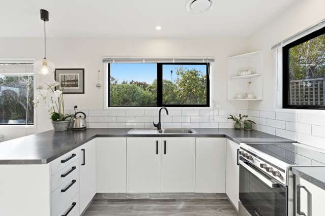 263B Lyttelton Street Spreydon_1