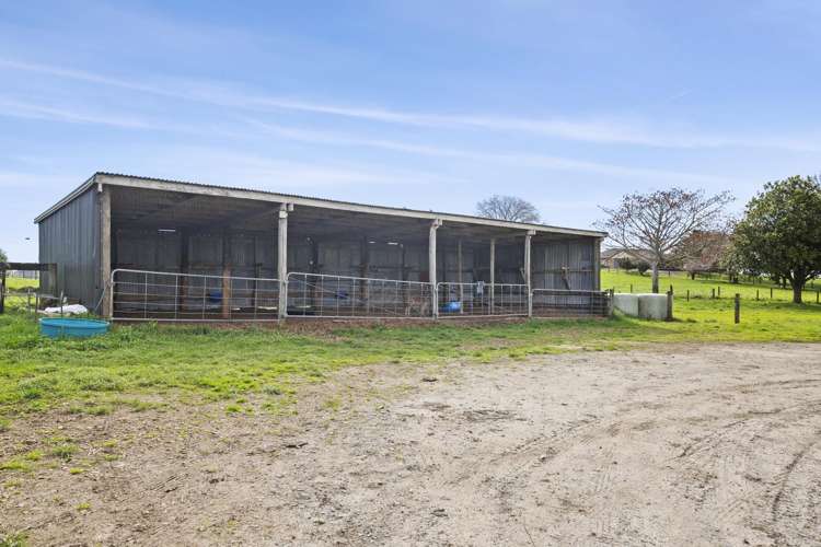 1270 Paterangi Road Ohaupo_15