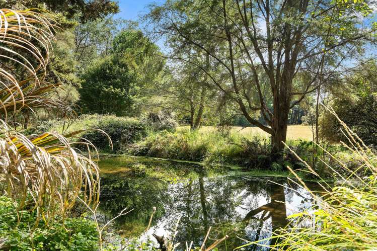 616 Norfolk Road Upper Plain_24