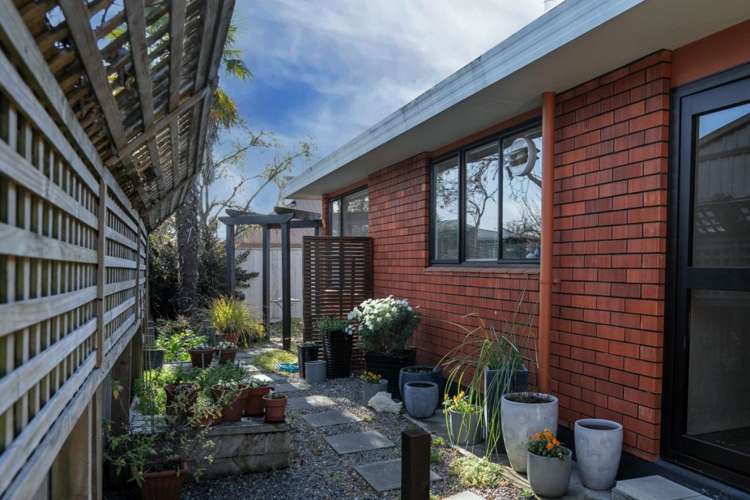 238a Scott Street Redwoodtown_19