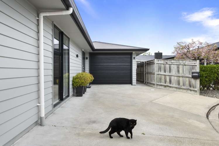 67a Albert Street Palmerston North Central_6