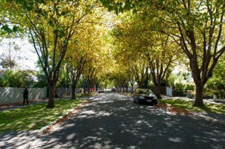 4b Park Street Rangiora_19