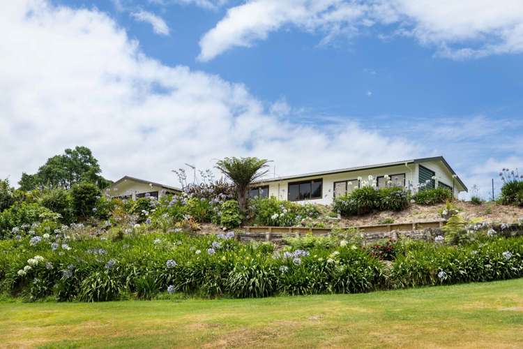 18c Binnie Road Katikati_14