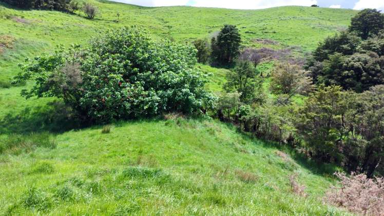 Lot/2 Wearmouth Road Paparoa_21