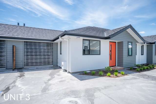 139 Grey Street Palmerston North Central_3