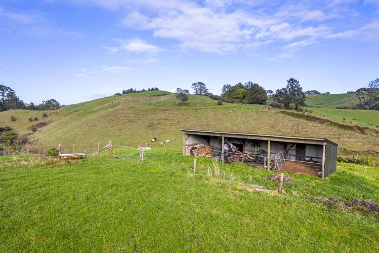 378 Hursthouse Road Tarurutangi_36