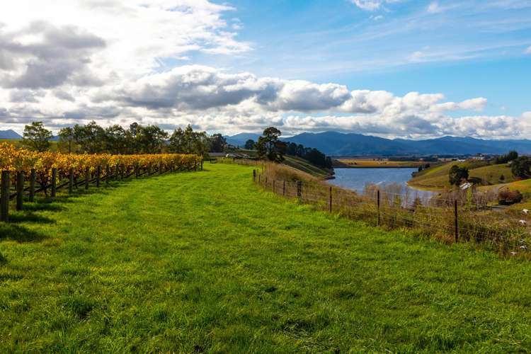 488 Delta Lake Heights Renwick_12