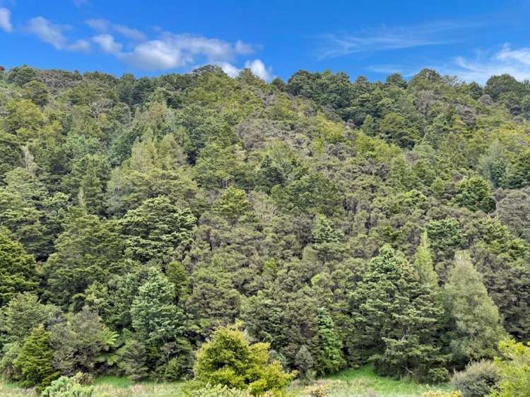 583 Lusk Road Ruawai_27