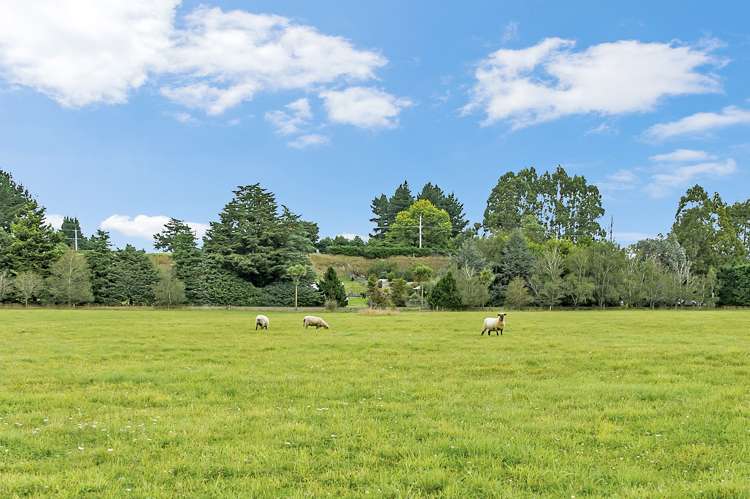 1406 Cust Road Cust_25