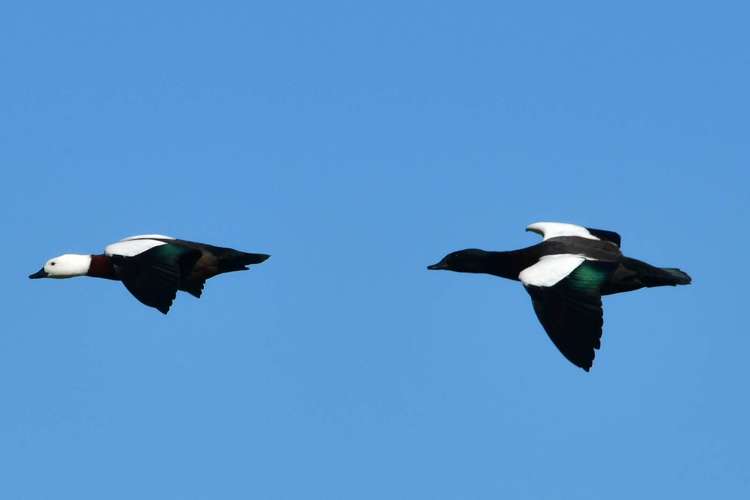 3356 Kaipara Coast Highway Glorit_48