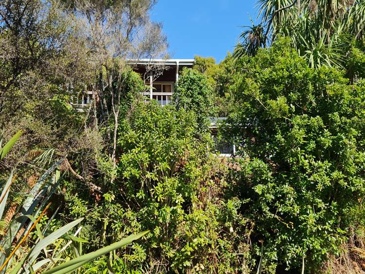 459 Utopia Road Westport_21