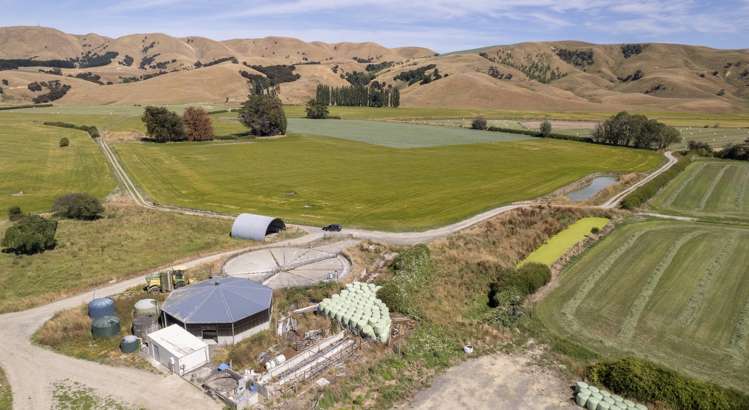 1231 Longbush Road Longbush_9