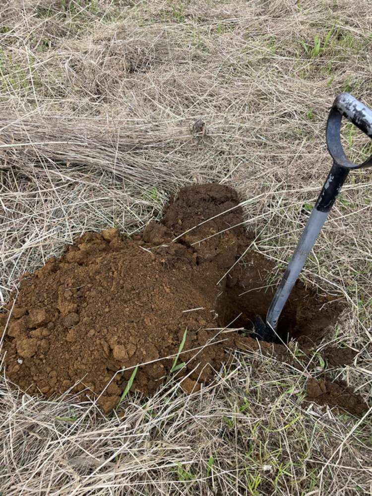 925 Main South Road Rangiwahia_18