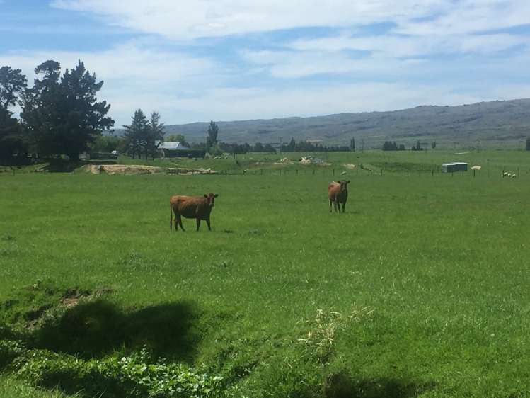 410 Ngapuna Road Middlemarch_13