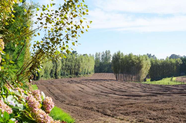 58 Rawaka Drive Katikati_1