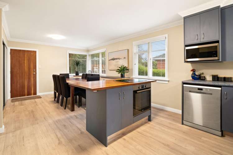 299 Pine Hill Road Pine Hill_7