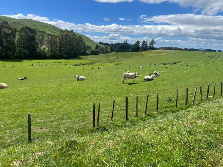 Lot Lot 1/9 Tamaki East Road Dannevirke_23
