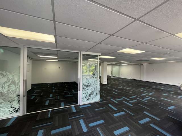 1 Beaumont Street Freemans Bay_4