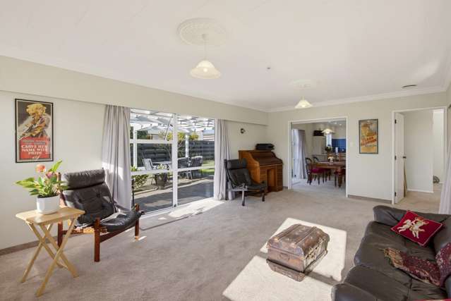 31 Burn Street Levin_4