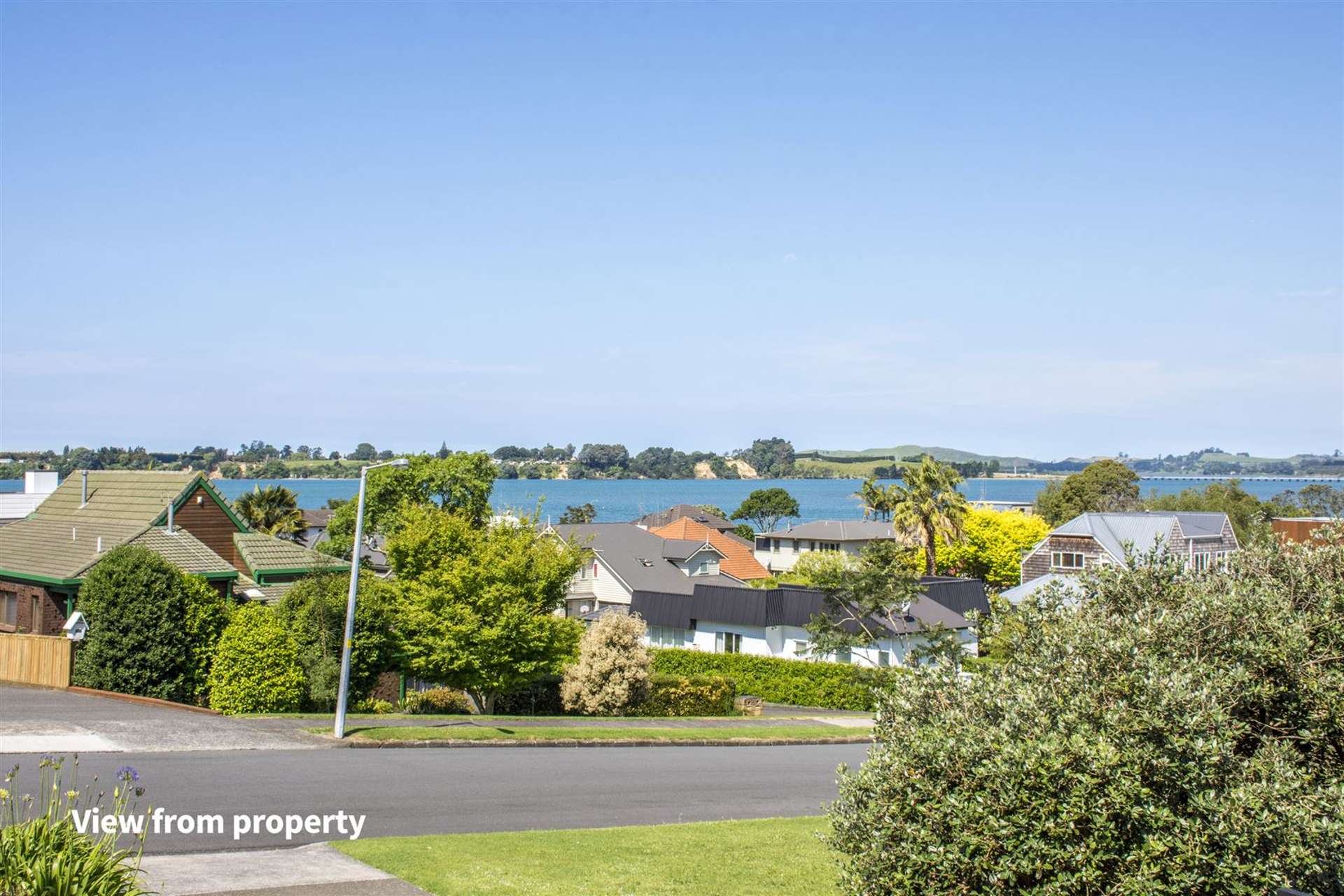 42a Harvey Street Tauranga South_0