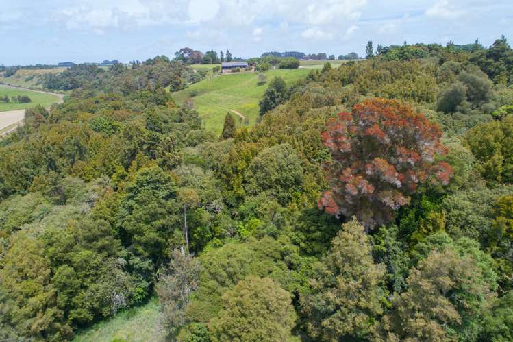 1808b State Highway 1 Marton_24