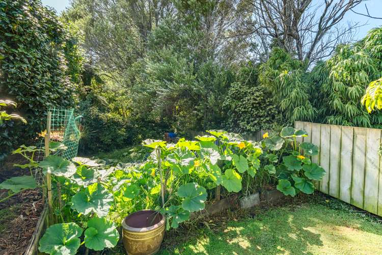 38 Woodleigh Street Frankleigh Park_17