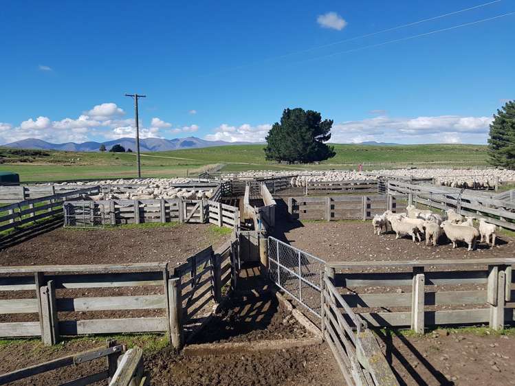 305 Bypass Road Ranfurly_29
