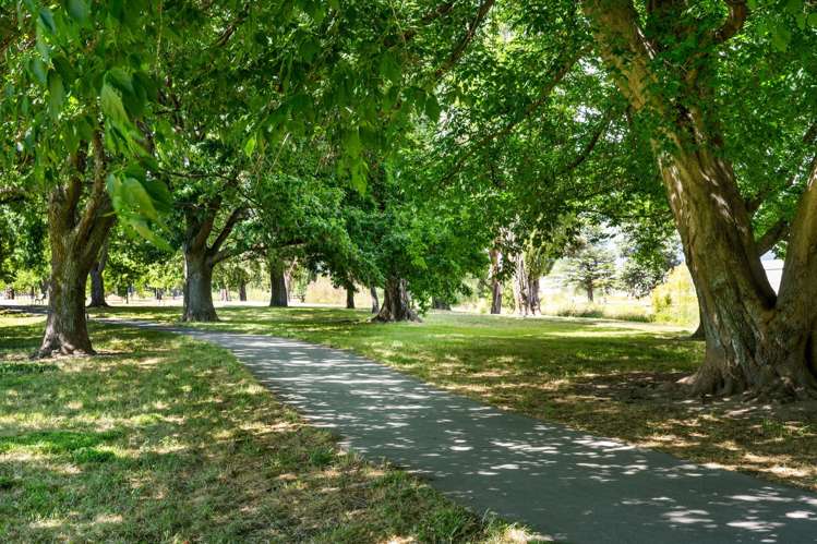 34b Leitrim Street Redwoodtown_24