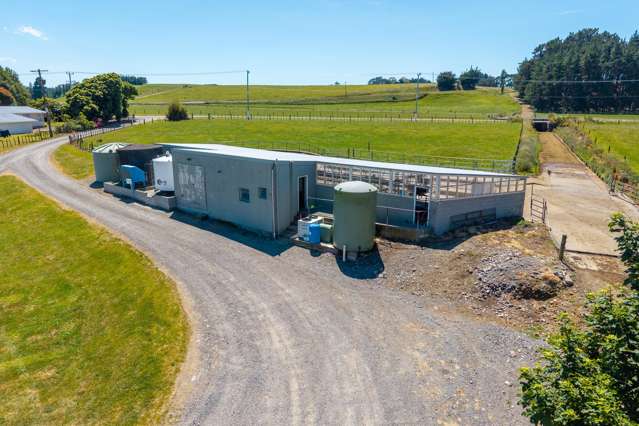 493 Smith Road Dannevirke_4