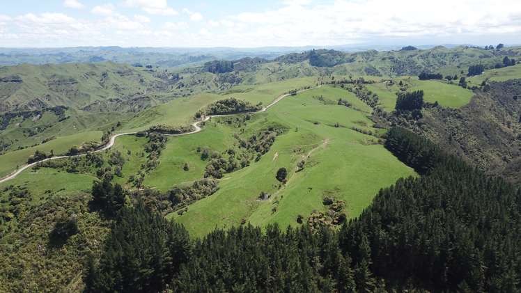 205 Kaweka Road Taihape and Surrounds_5