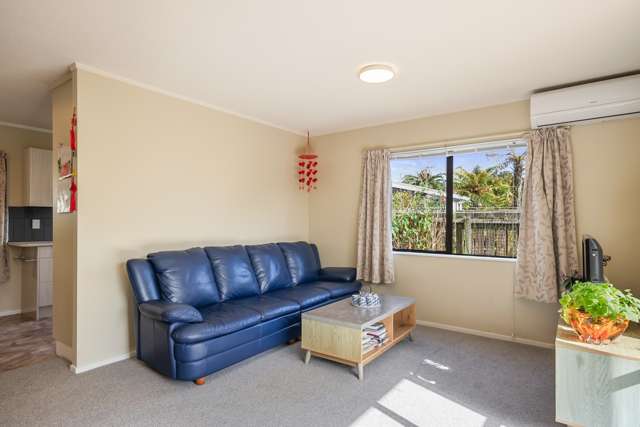 76 Elizabeth Street Waikanae_3