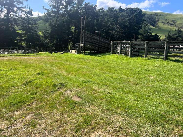 463 Waihi Valley Rd Dannevirke_7