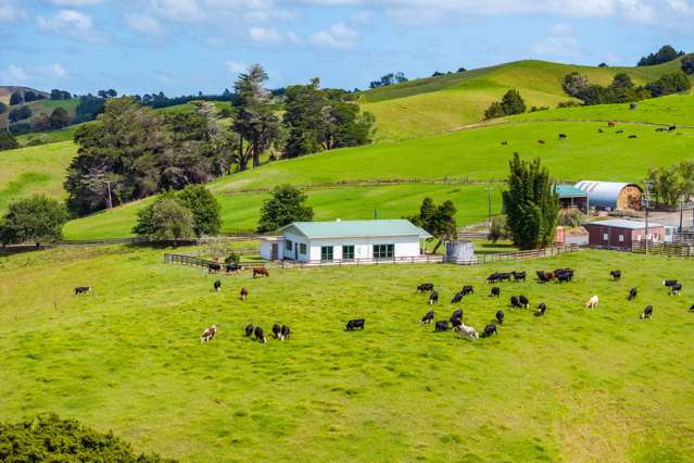 1656 Kirikopuni Valley Road Tangiteroria_2